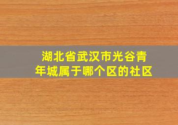 湖北省武汉市光谷青年城属于哪个区的社区