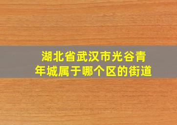 湖北省武汉市光谷青年城属于哪个区的街道