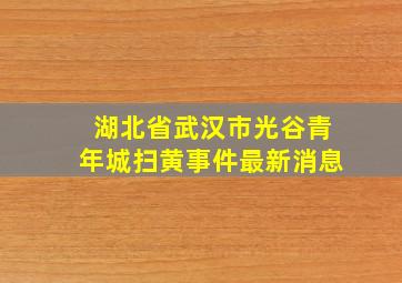 湖北省武汉市光谷青年城扫黄事件最新消息