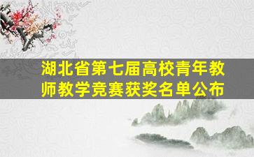 湖北省第七届高校青年教师教学竞赛获奖名单公布