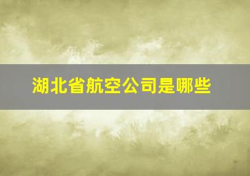 湖北省航空公司是哪些