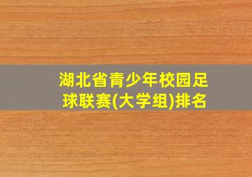 湖北省青少年校园足球联赛(大学组)排名