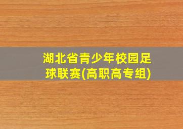 湖北省青少年校园足球联赛(高职高专组)