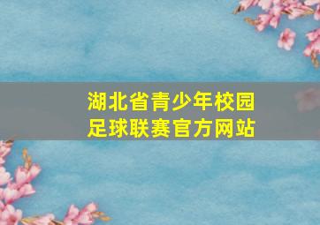 湖北省青少年校园足球联赛官方网站