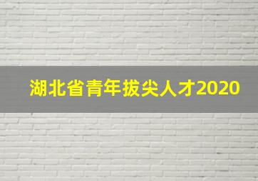 湖北省青年拔尖人才2020