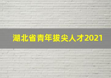 湖北省青年拔尖人才2021