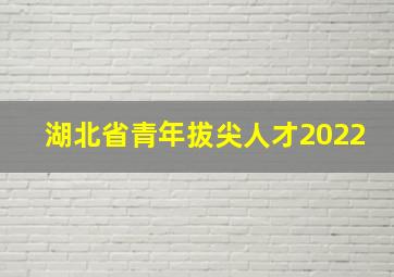 湖北省青年拔尖人才2022