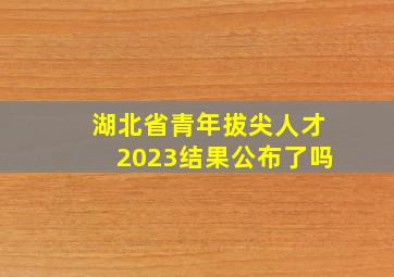 湖北省青年拔尖人才2023结果公布了吗