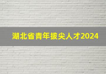 湖北省青年拔尖人才2024