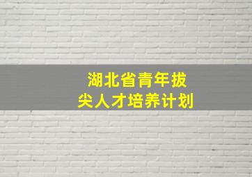 湖北省青年拔尖人才培养计划