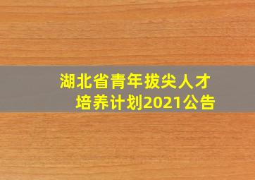 湖北省青年拔尖人才培养计划2021公告