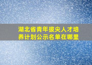 湖北省青年拔尖人才培养计划公示名单在哪里