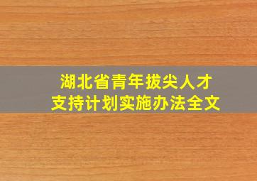 湖北省青年拔尖人才支持计划实施办法全文