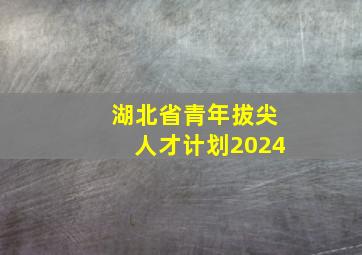 湖北省青年拔尖人才计划2024