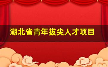 湖北省青年拔尖人才项目