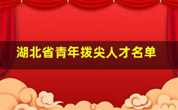 湖北省青年拨尖人才名单