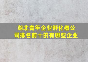 湖北青年企业孵化器公司排名前十的有哪些企业