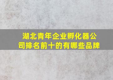 湖北青年企业孵化器公司排名前十的有哪些品牌