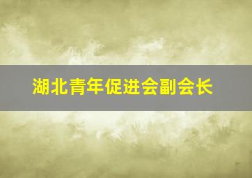 湖北青年促进会副会长