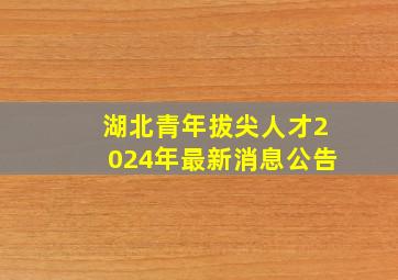 湖北青年拔尖人才2024年最新消息公告