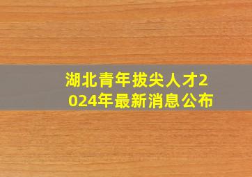 湖北青年拔尖人才2024年最新消息公布