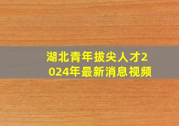 湖北青年拔尖人才2024年最新消息视频