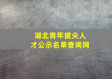 湖北青年拔尖人才公示名单查询网