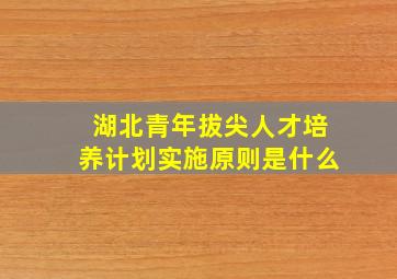 湖北青年拔尖人才培养计划实施原则是什么