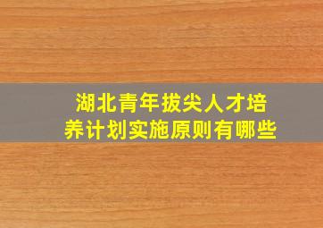 湖北青年拔尖人才培养计划实施原则有哪些