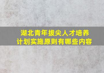 湖北青年拔尖人才培养计划实施原则有哪些内容