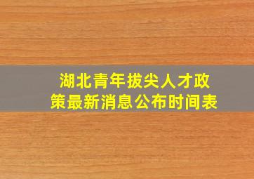 湖北青年拔尖人才政策最新消息公布时间表