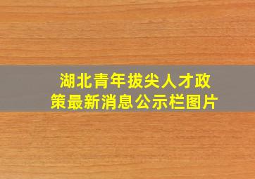 湖北青年拔尖人才政策最新消息公示栏图片