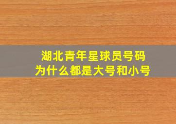 湖北青年星球员号码为什么都是大号和小号