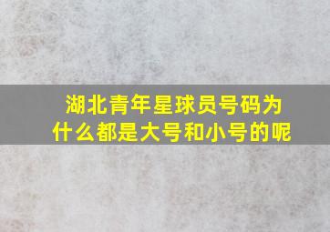 湖北青年星球员号码为什么都是大号和小号的呢