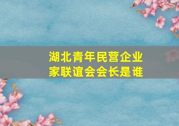 湖北青年民营企业家联谊会会长是谁