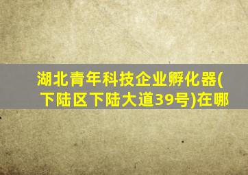 湖北青年科技企业孵化器(下陆区下陆大道39号)在哪