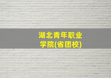 湖北青年职业学院(省团校)