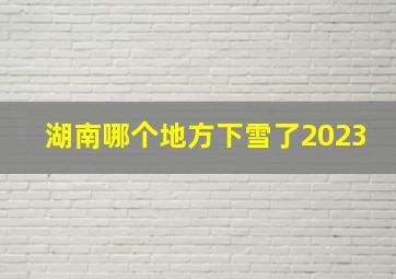 湖南哪个地方下雪了2023