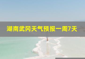 湖南武冈天气预报一周7天