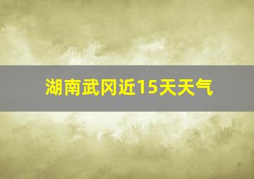 湖南武冈近15天天气