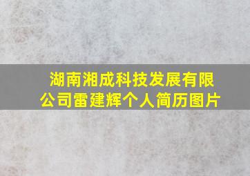 湖南湘成科技发展有限公司雷建辉个人简历图片