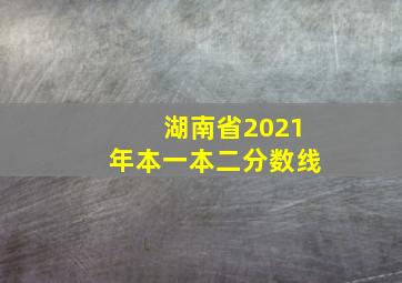 湖南省2021年本一本二分数线