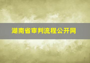 湖南省审判流程公开网