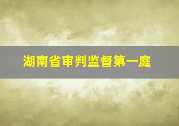 湖南省审判监督第一庭