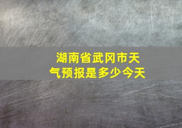 湖南省武冈市天气预报是多少今天