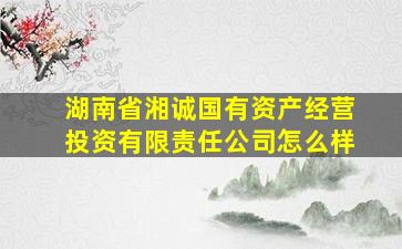 湖南省湘诚国有资产经营投资有限责任公司怎么样