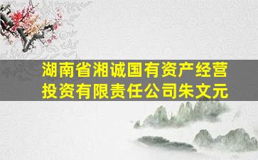 湖南省湘诚国有资产经营投资有限责任公司朱文元