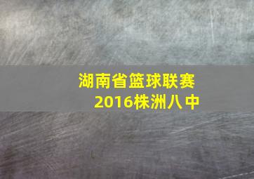 湖南省篮球联赛2016株洲八中