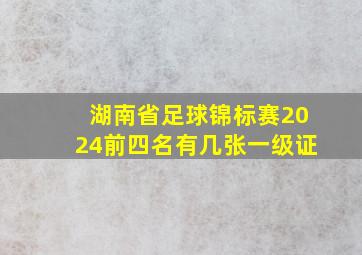 湖南省足球锦标赛2024前四名有几张一级证