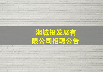 湘城投发展有限公司招聘公告